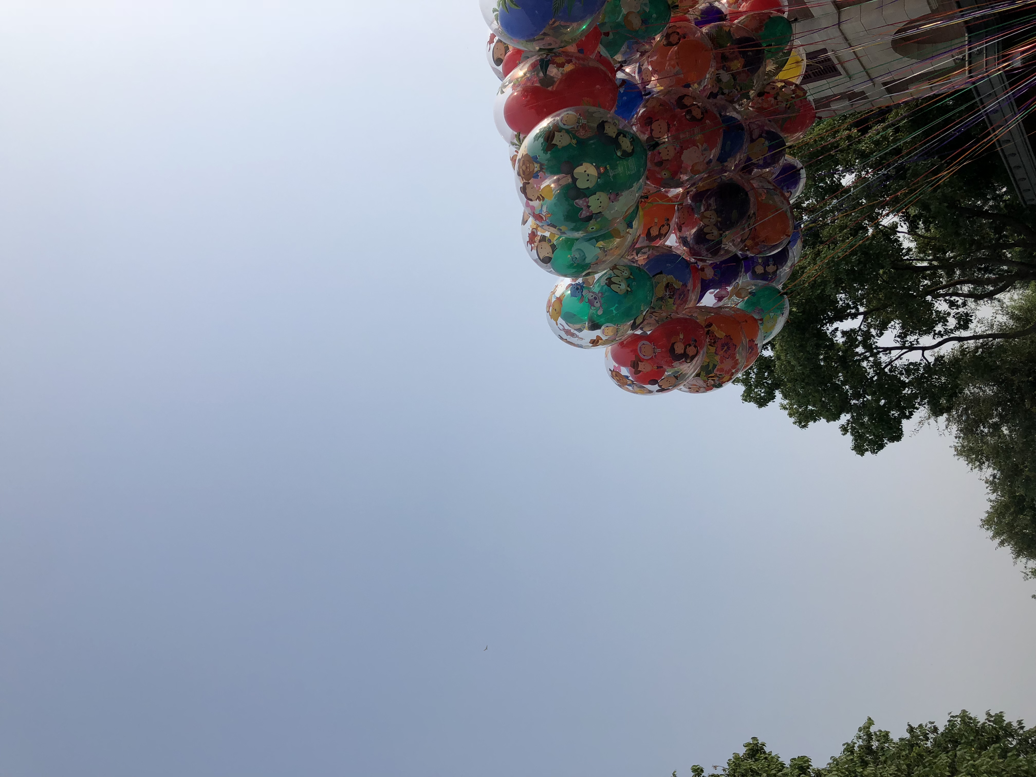 吴教员 照片