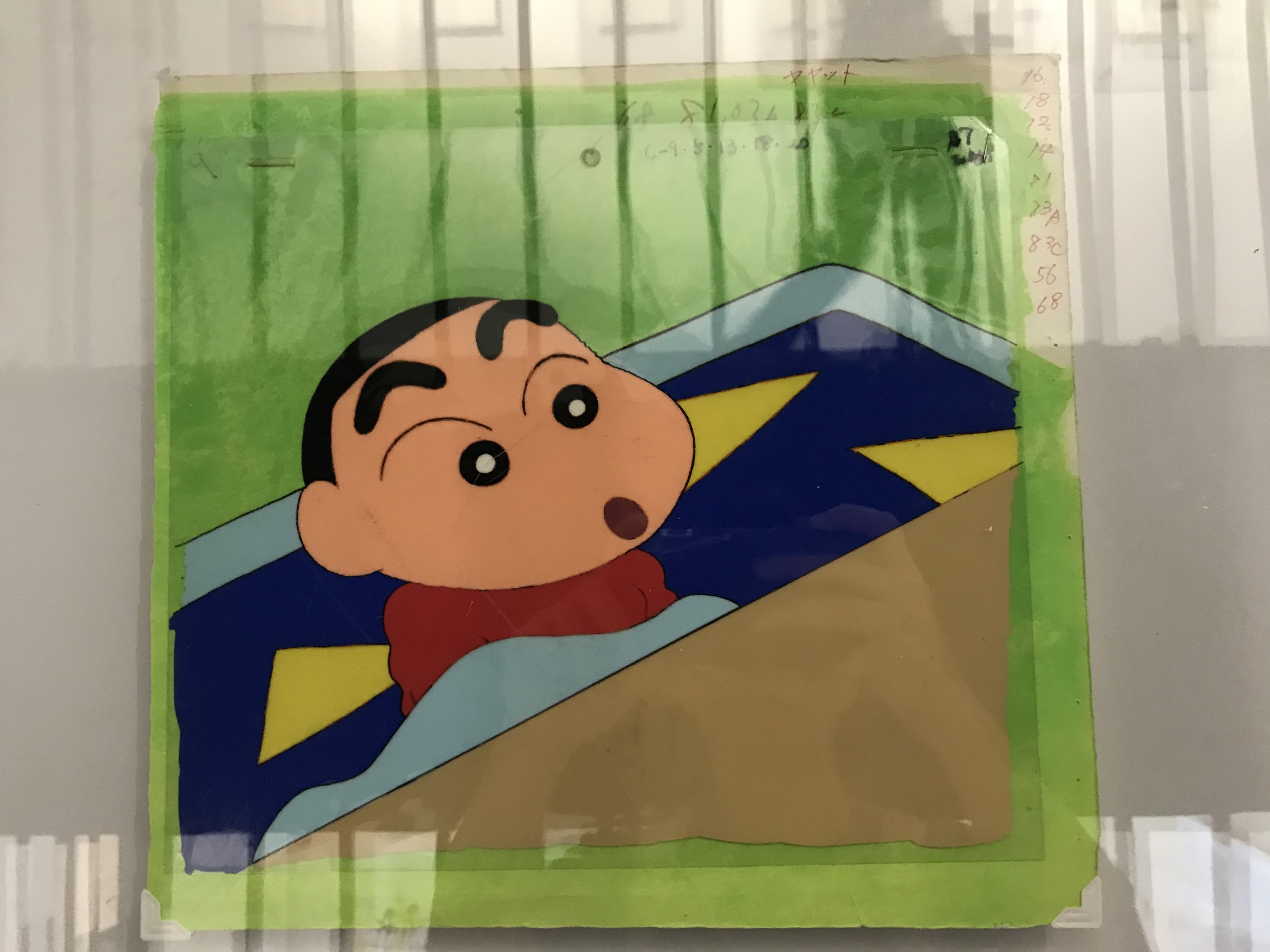 王教员 照片