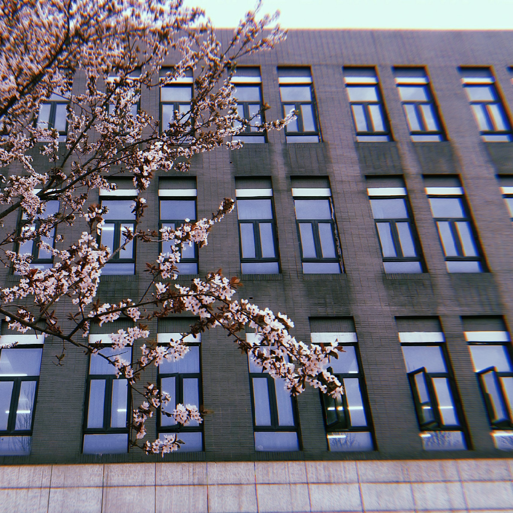 彭教员 照片