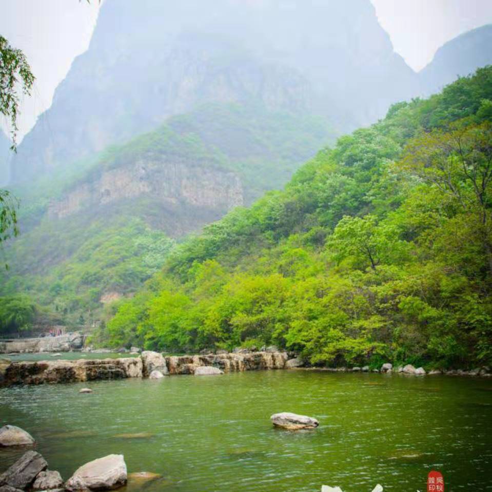 张教员 照片