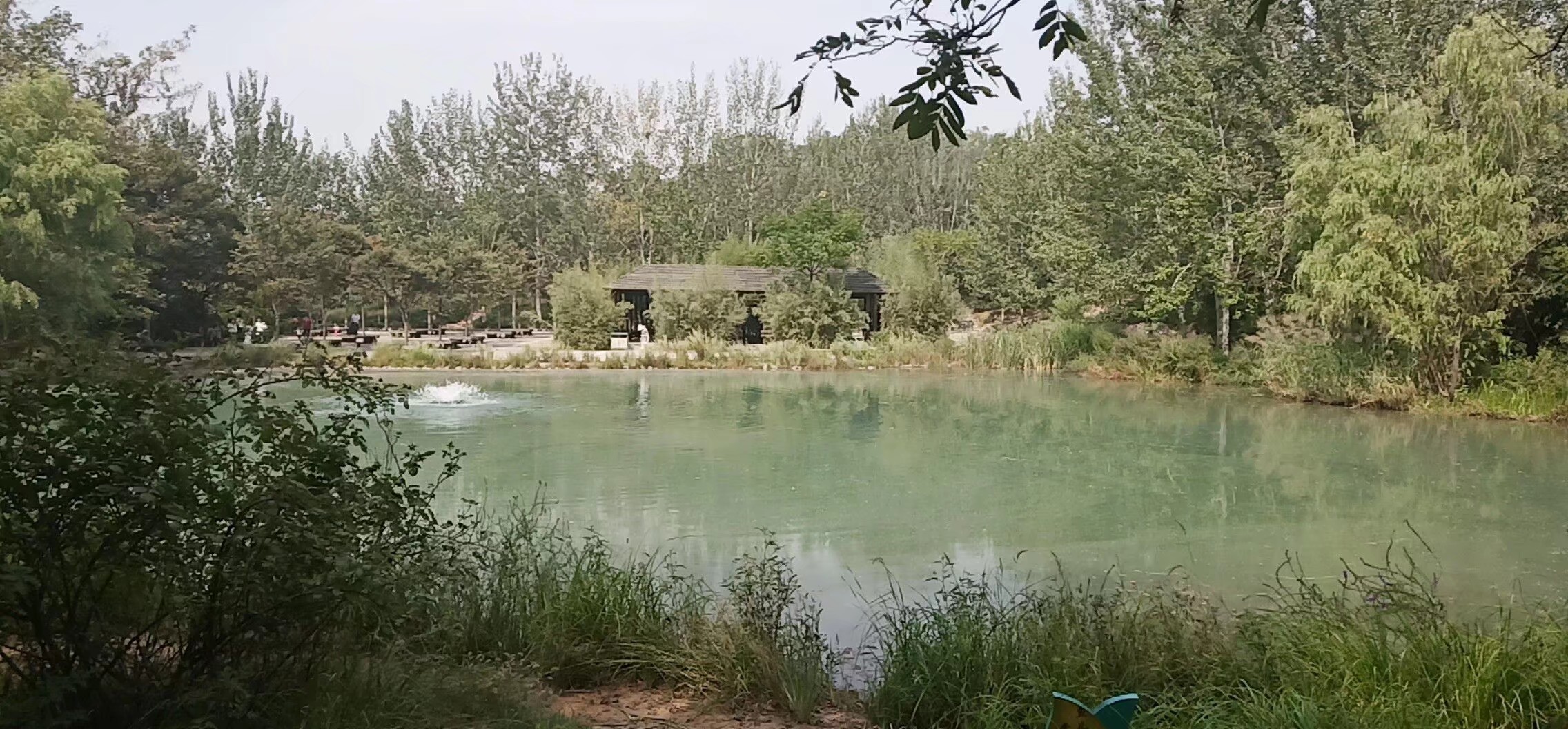 张教员 照片