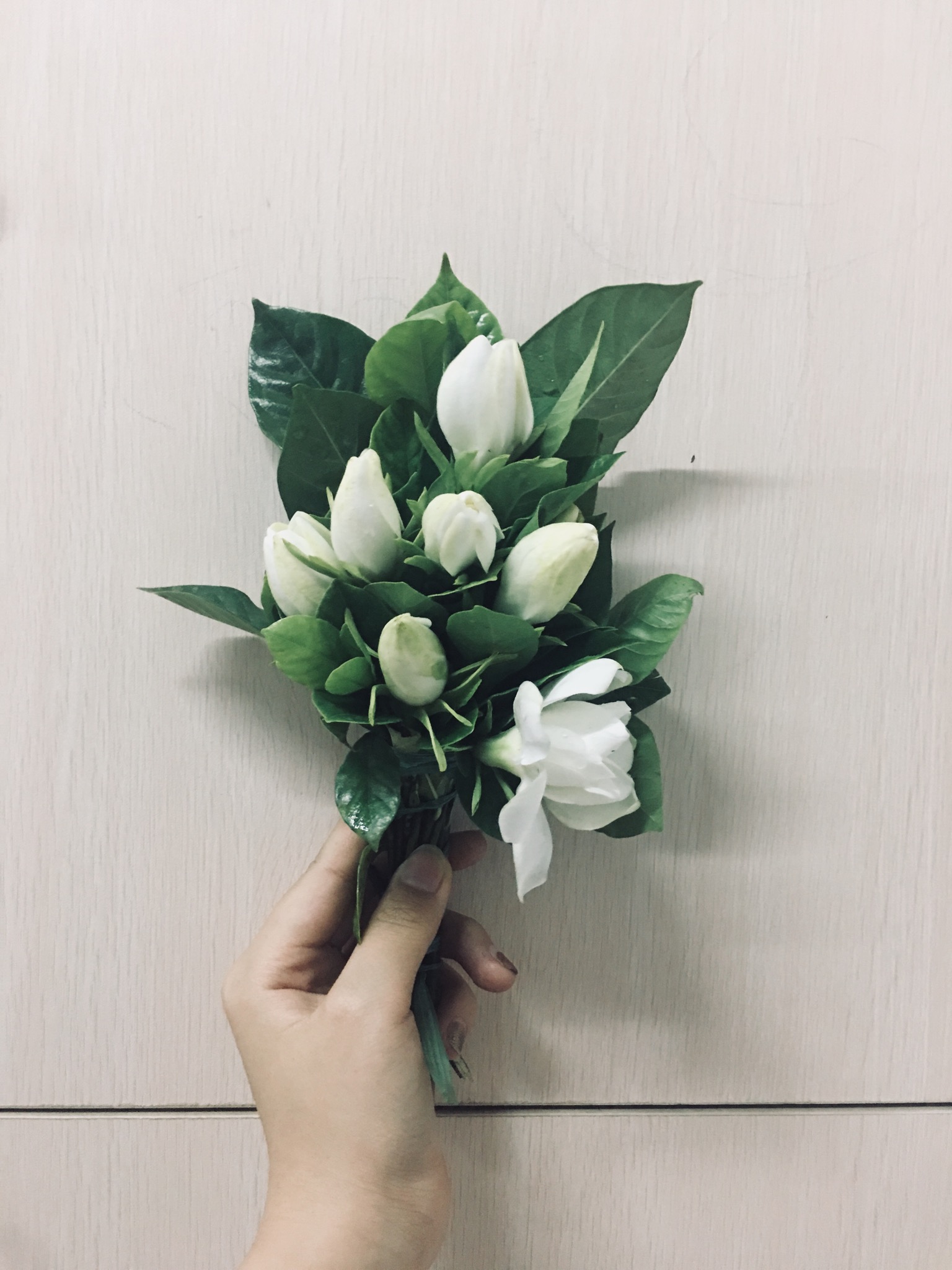 陈教员 照片