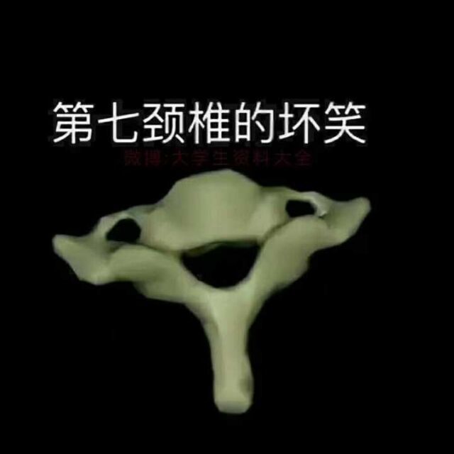 王教员 照片