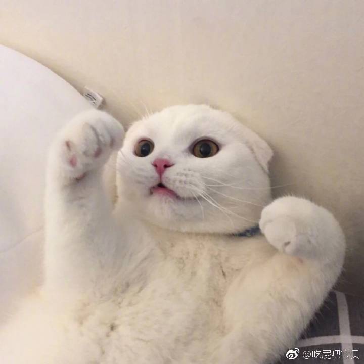尚教员 照片
