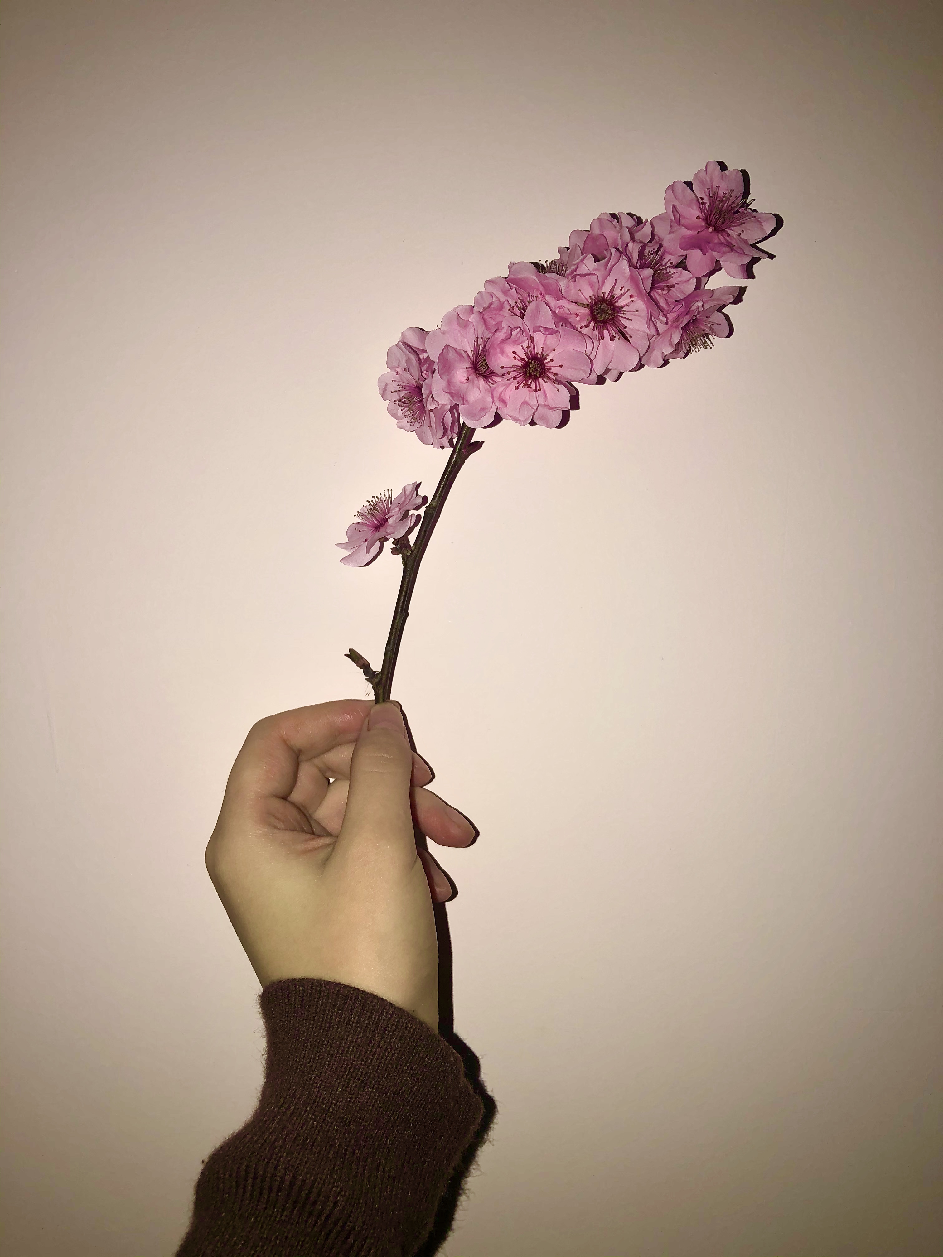 张教员 照片