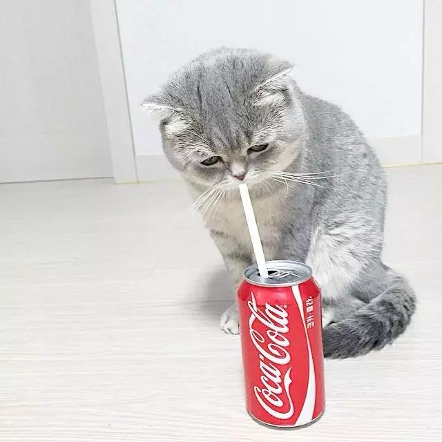 蒋教员 照片