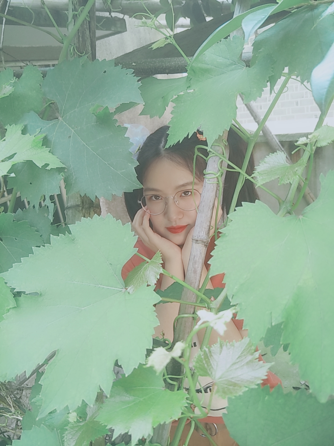 金教员 照片