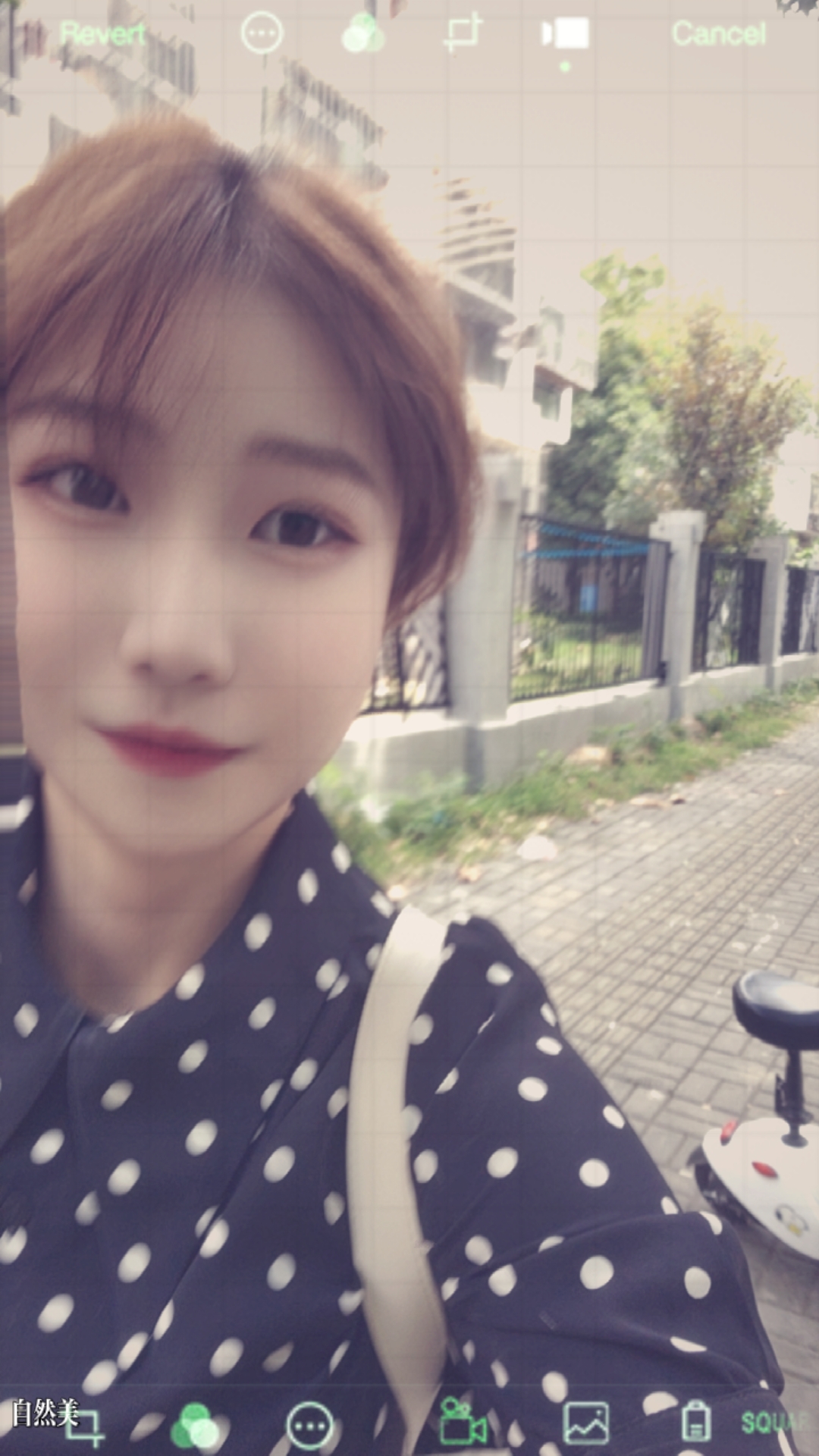 杨教员 照片
