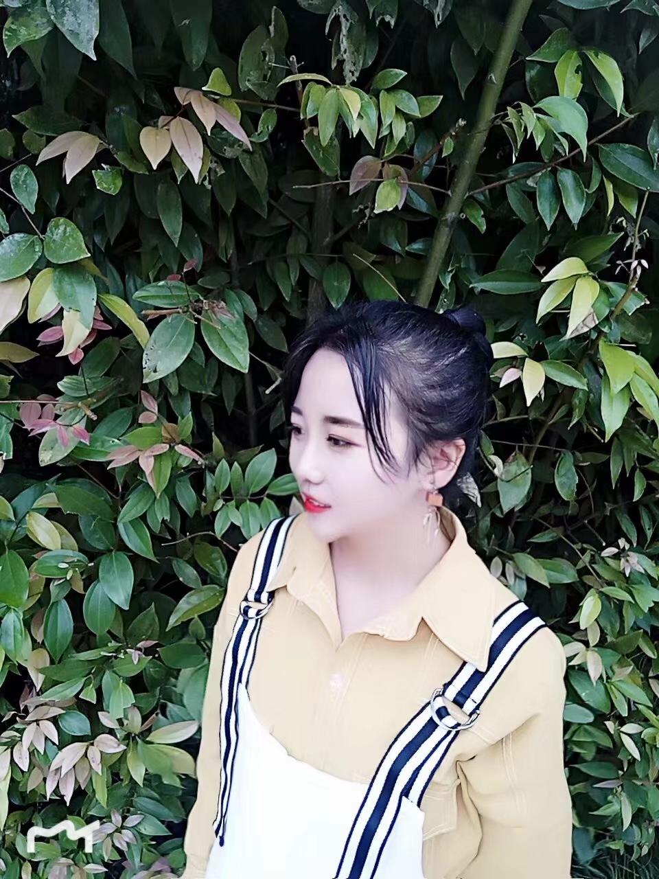 古教员 照片