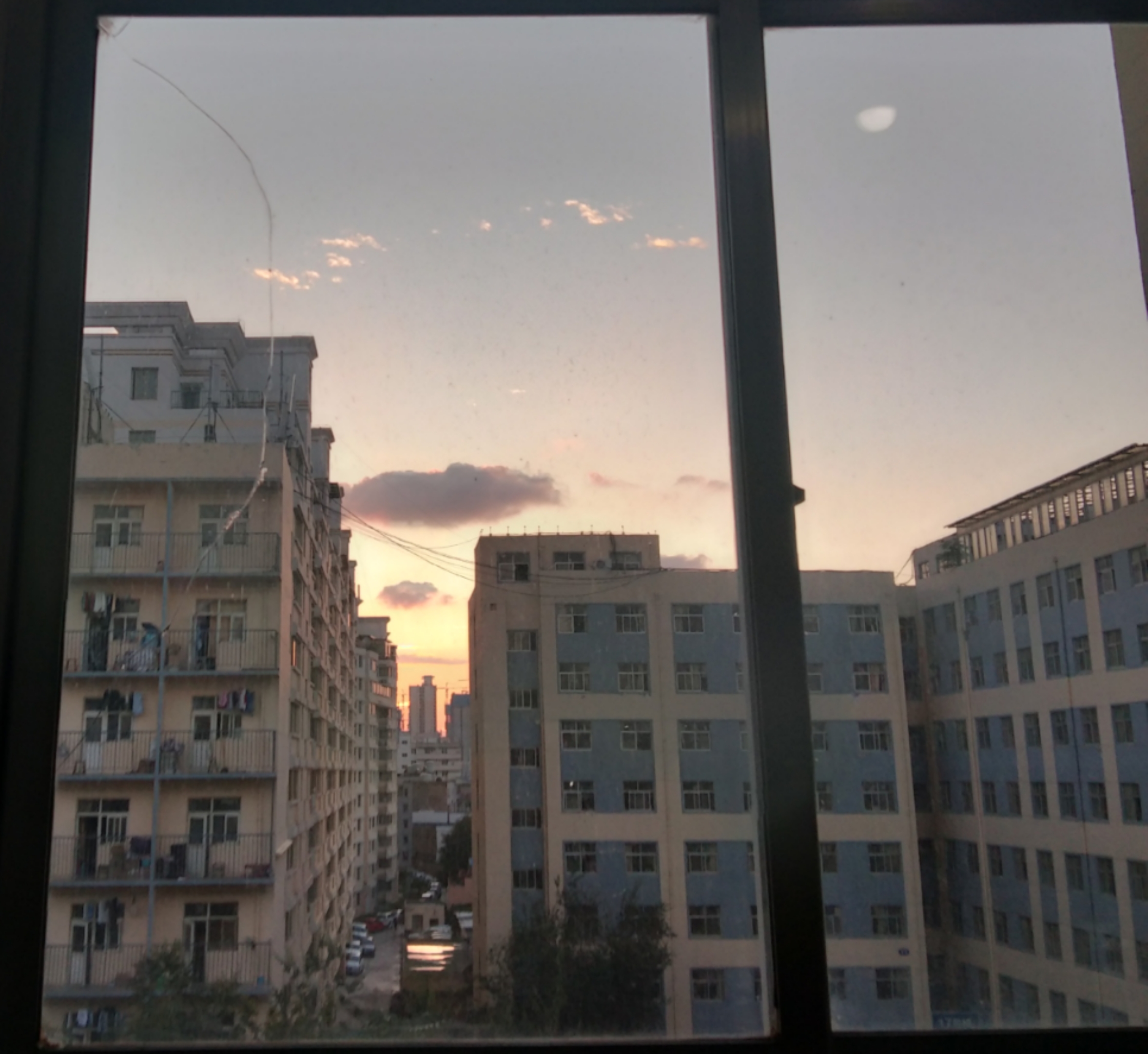舒教员 照片