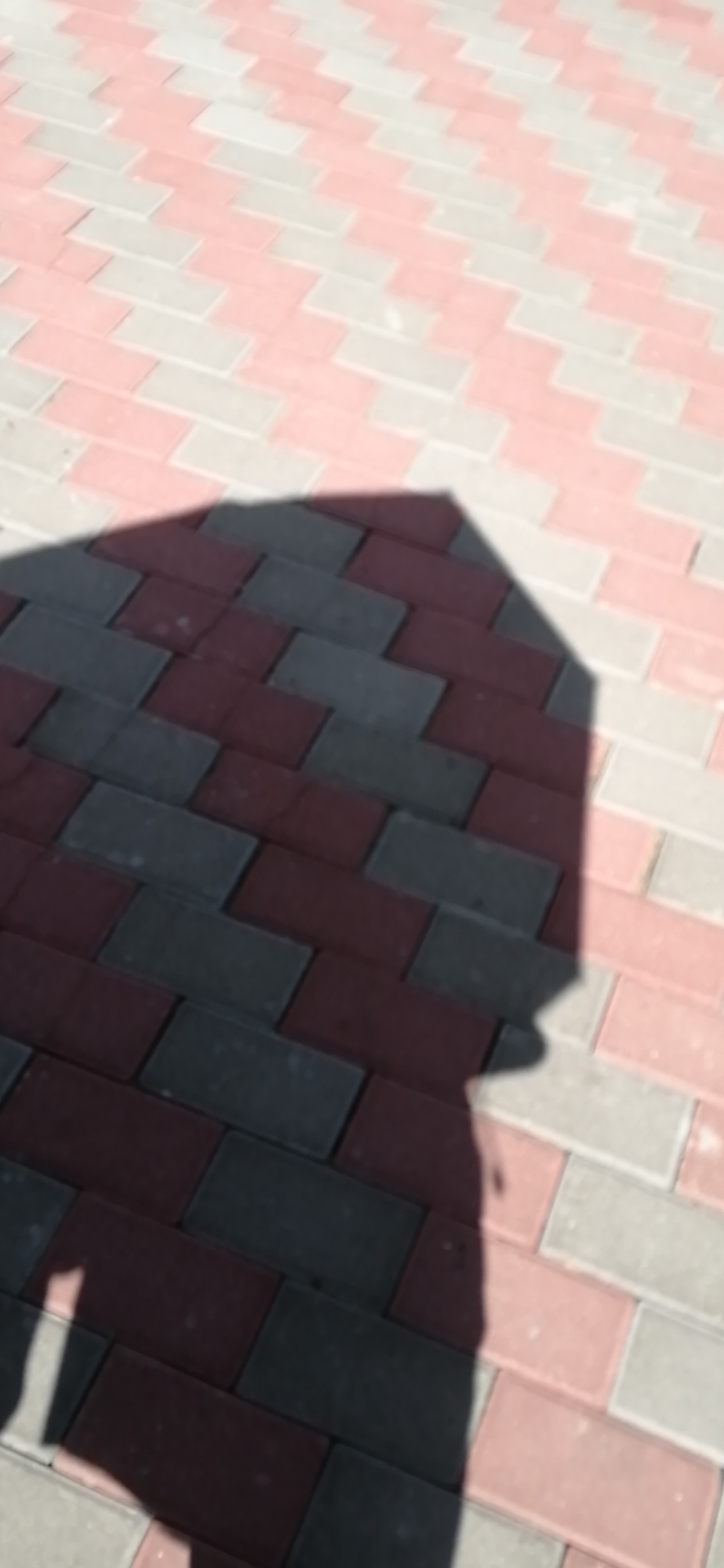 陈教员 照片