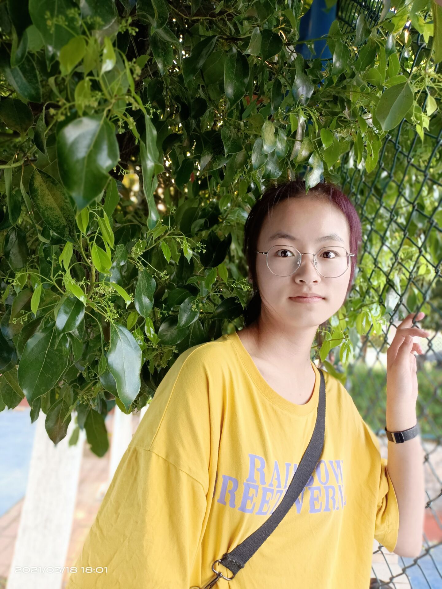 刘教员 照片