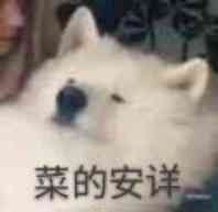 汪教员 照片