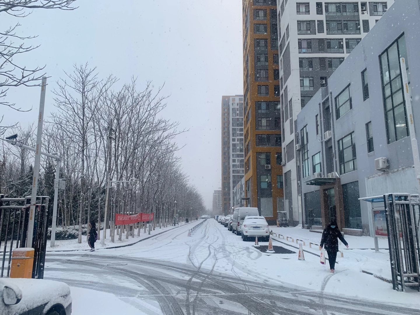 李教员 照片