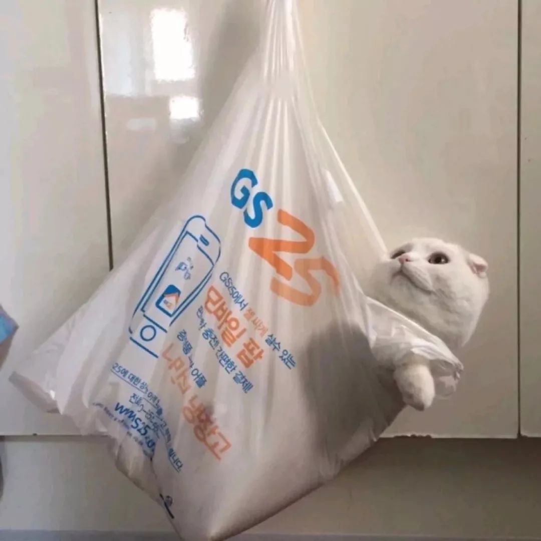 张教员 照片