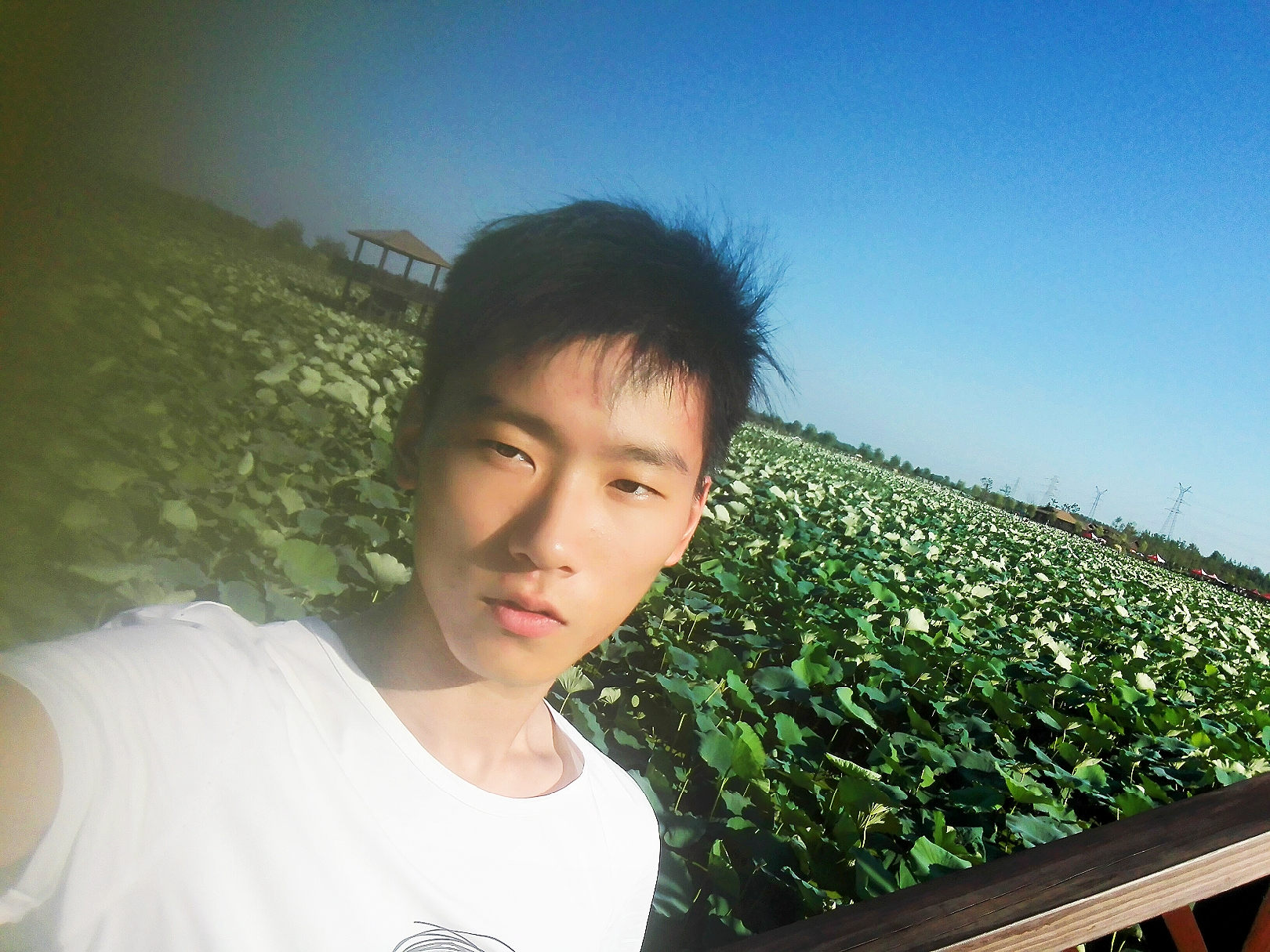 杨教员 照片