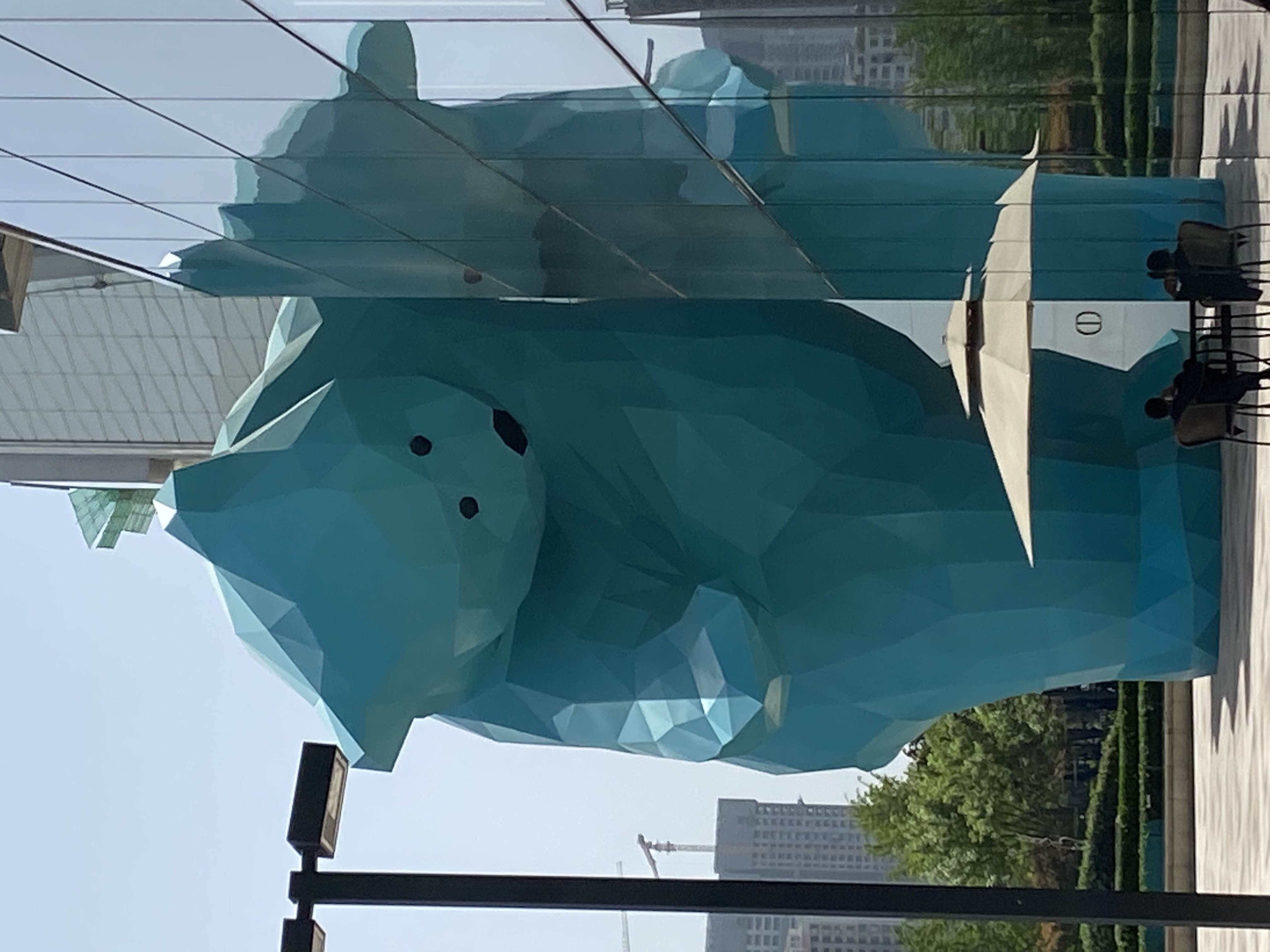 姚教员 照片