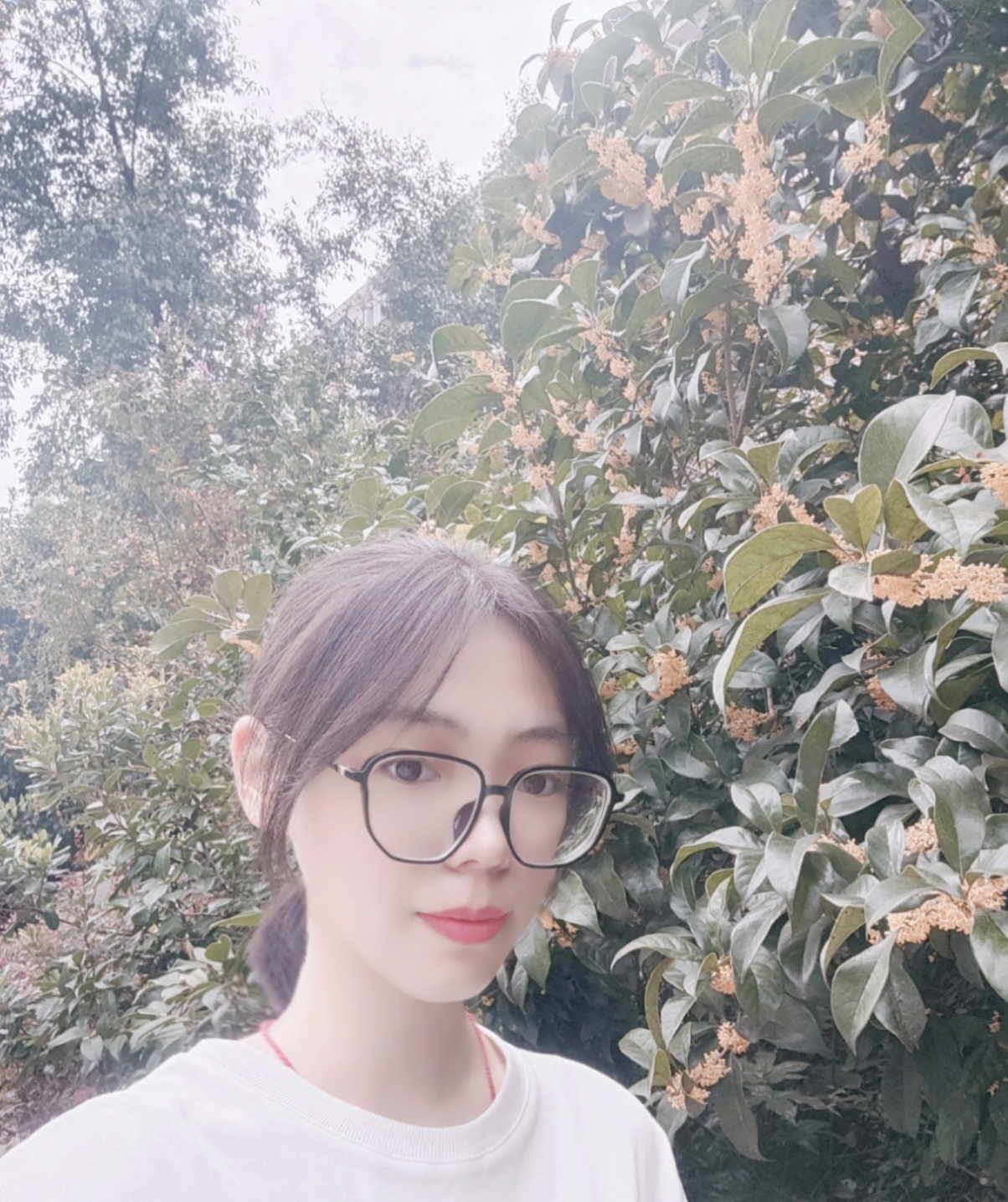 吴教员 照片