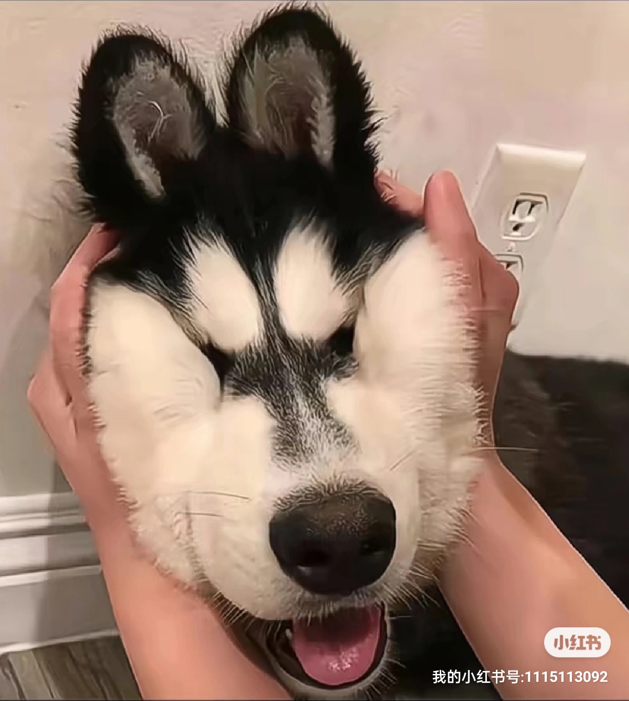 文教员 照片