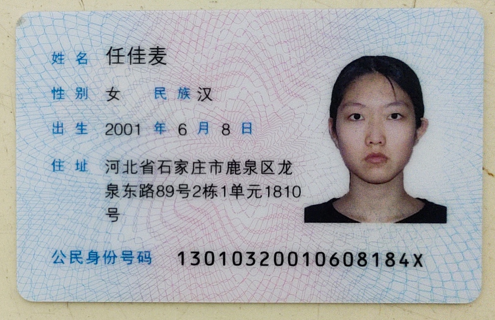 任教员 照片