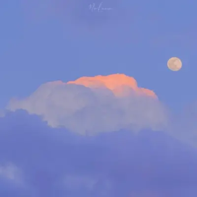 杨教员 照片