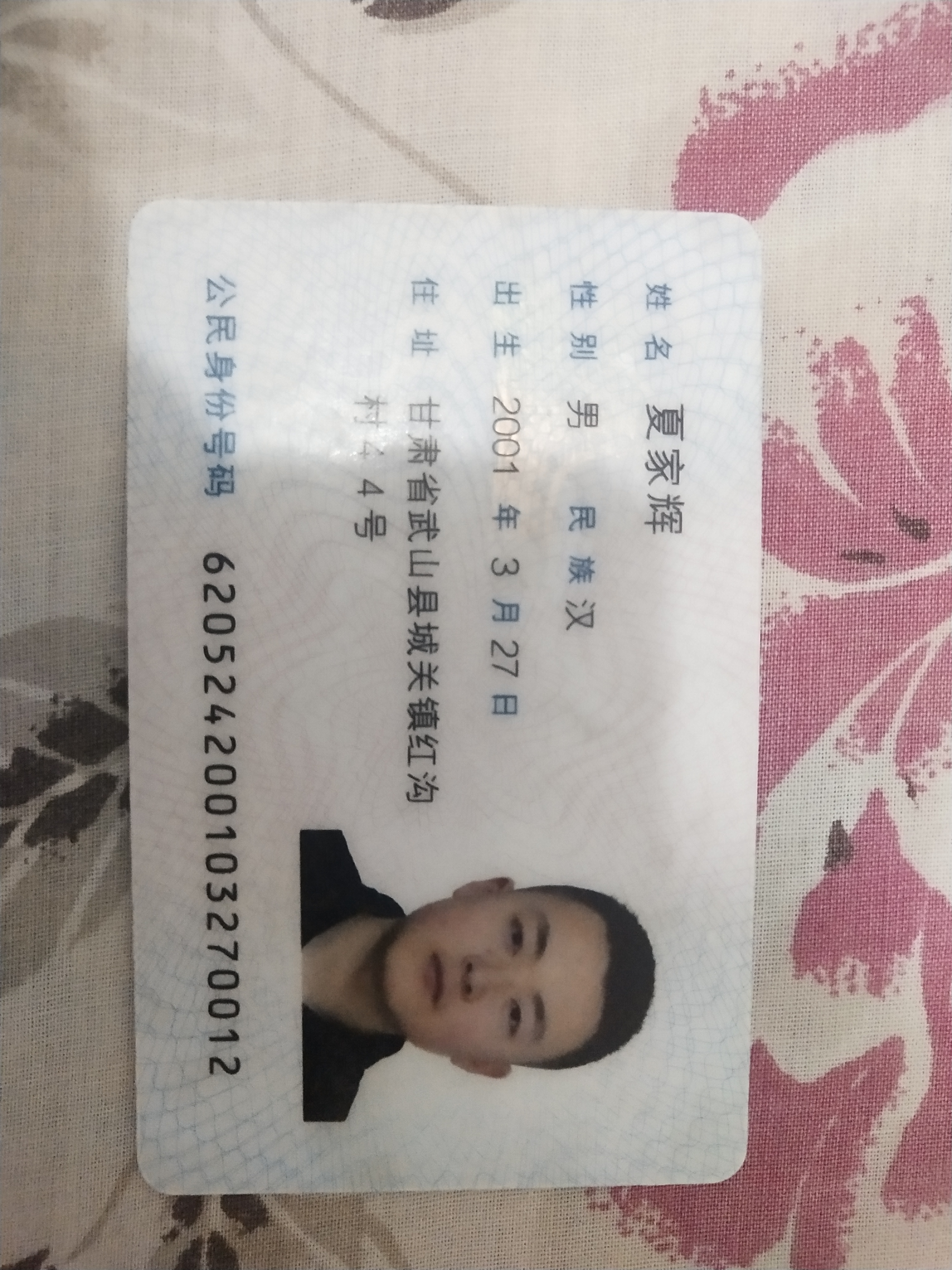夏教员 照片