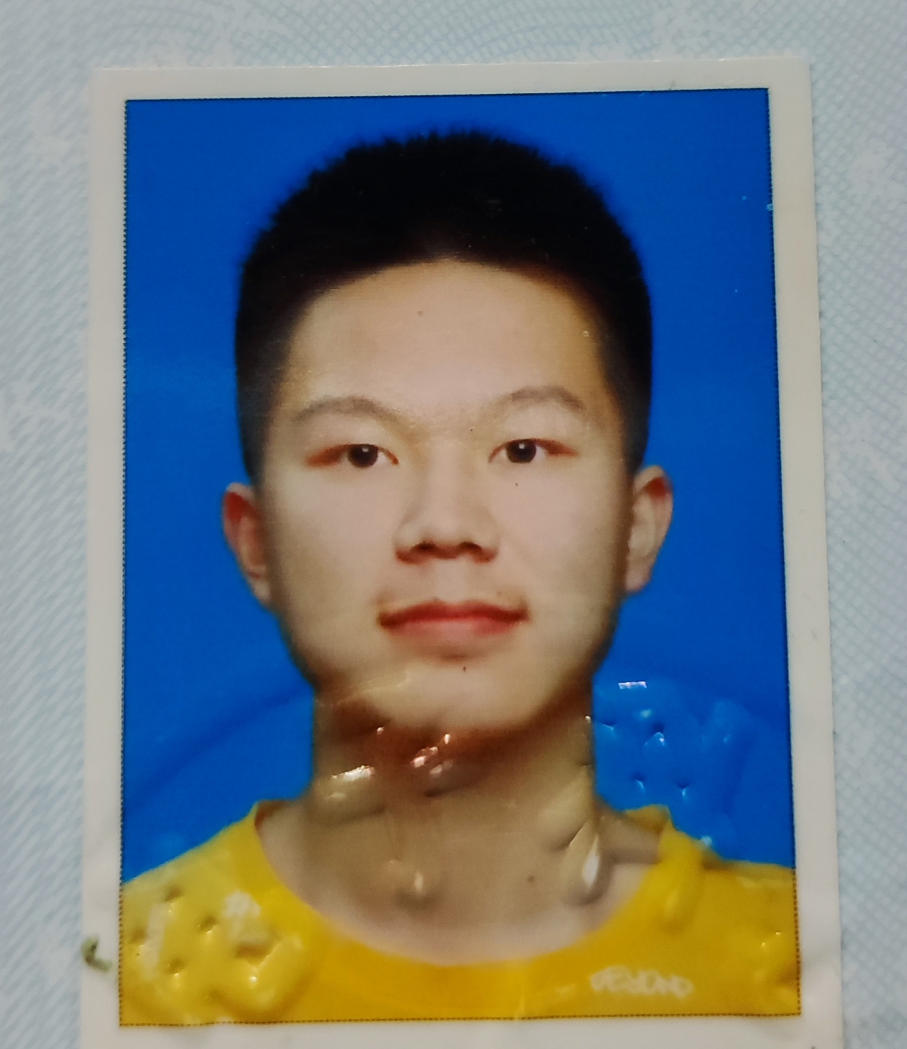 杨教员 照片