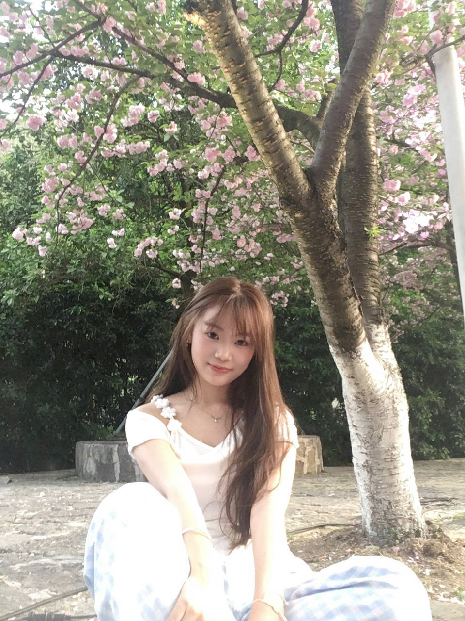 黄教员 照片